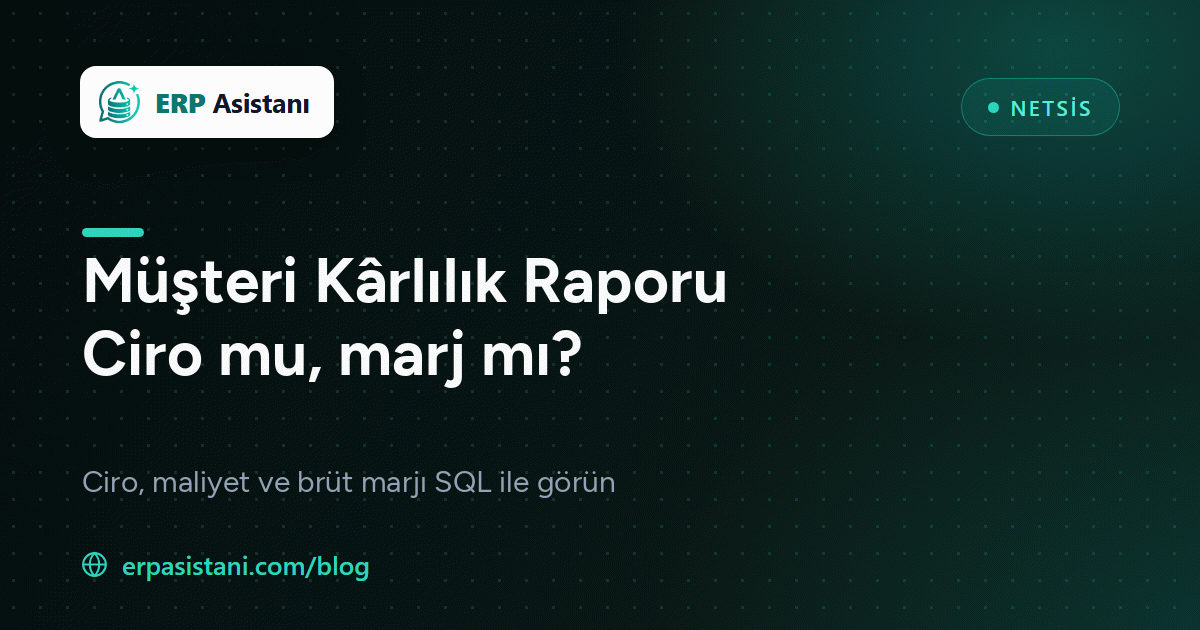 Netsis Cari Kârlılık SQL: Müşteri Bazında Brüt Kâr ve Marj