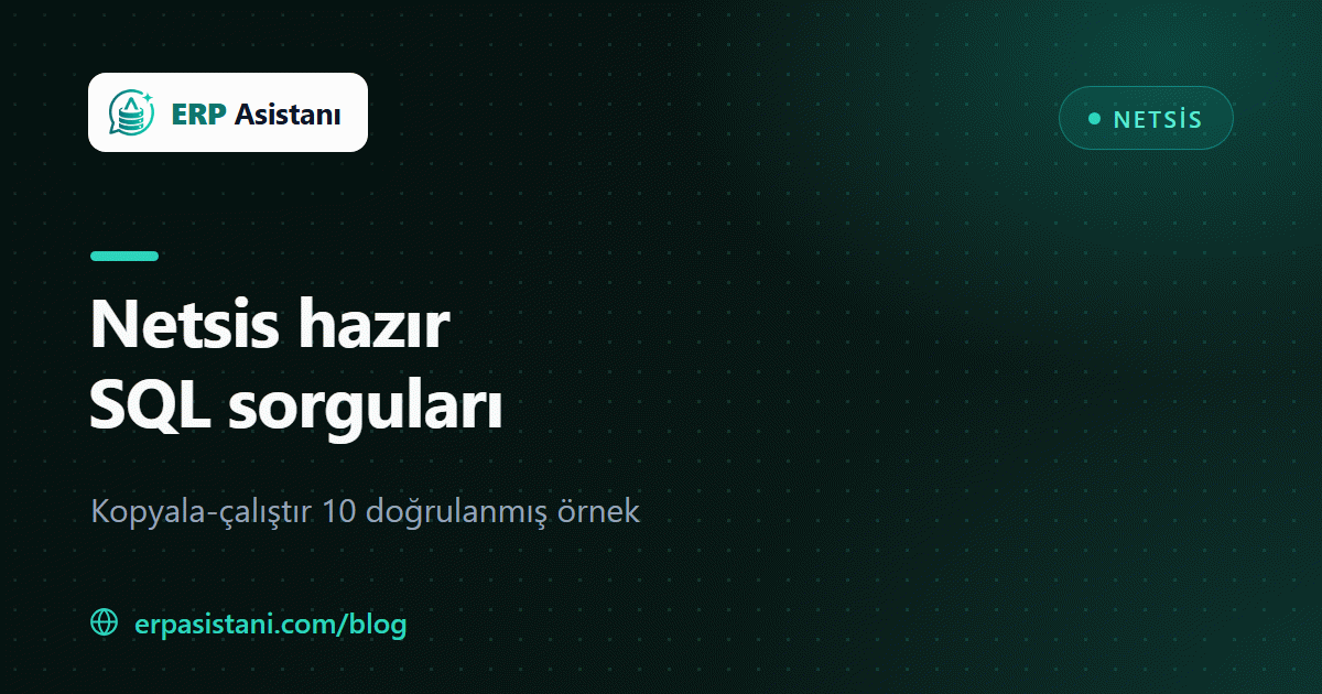 Netsis Hazır SQL Sorguları: Kopyala-Çalıştır 10 Örnek (Stok, Cari, Fatura)