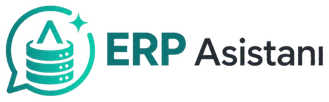 ERP Asistanı